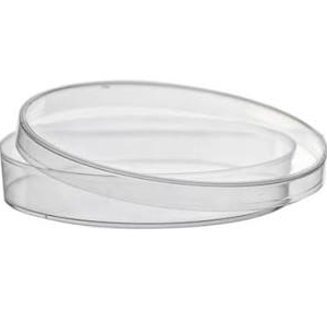 Placa de Petri 60 x 15 mm